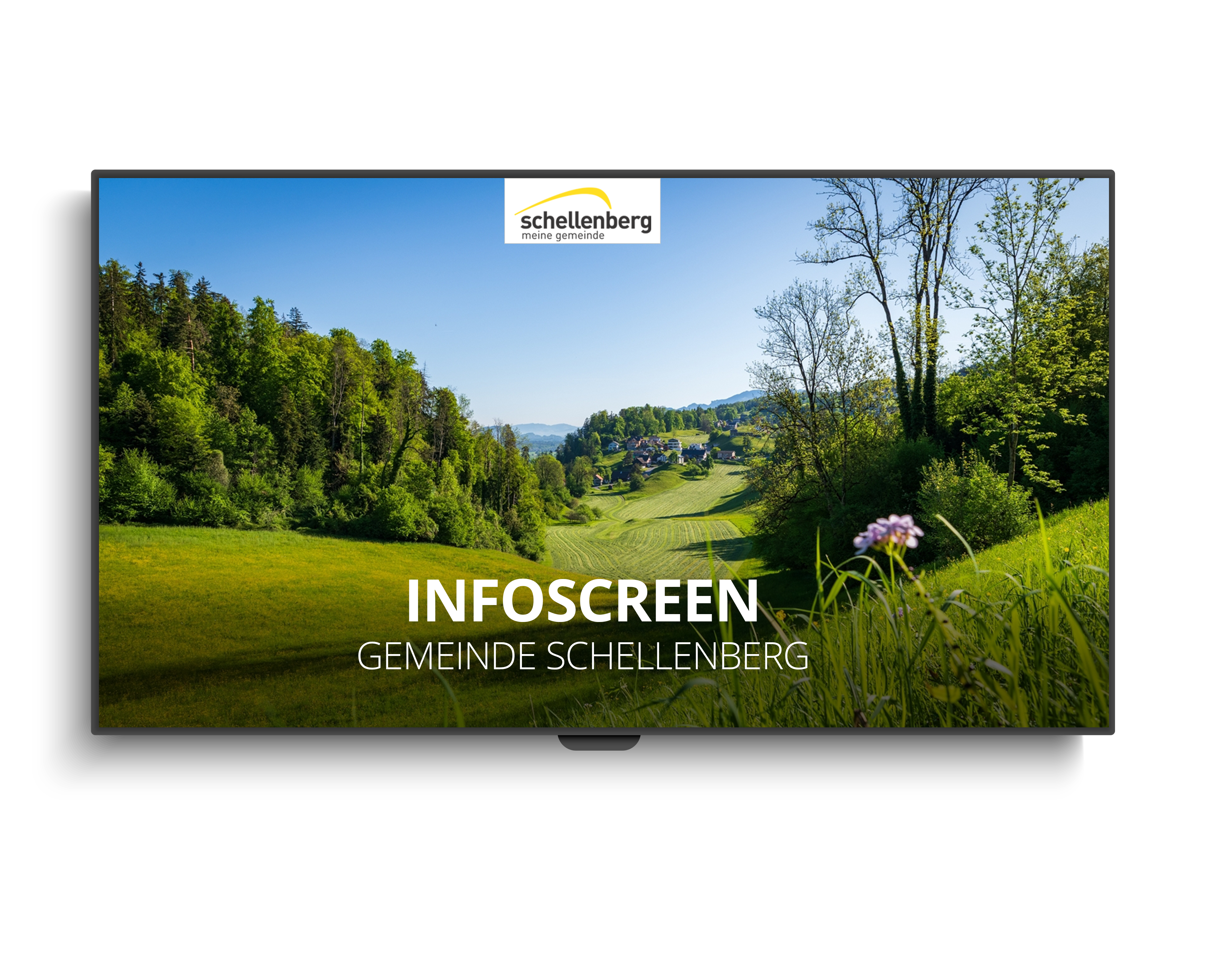Infoscreen